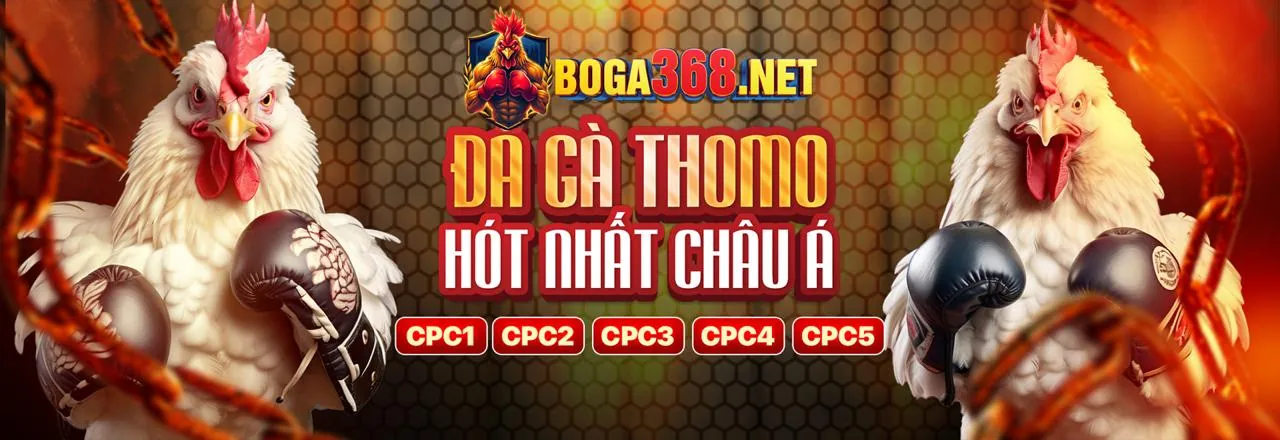 Giải thích về GDPR và tầm quan trọng của nó