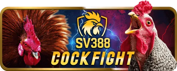 Cá Cược Bóng Đá x88